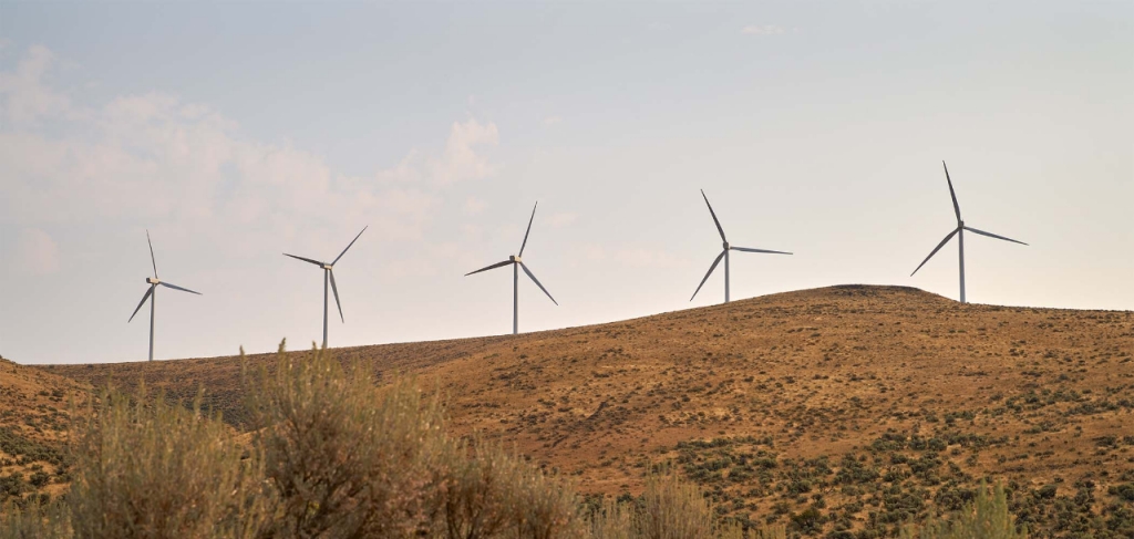 wind turbines in a field