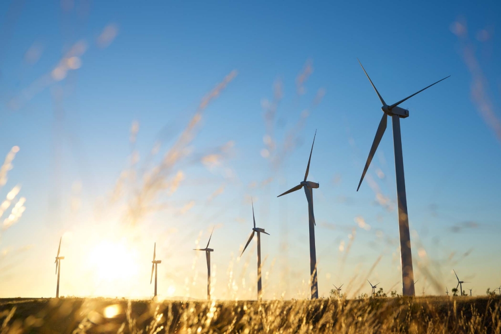 wind turbines in a field